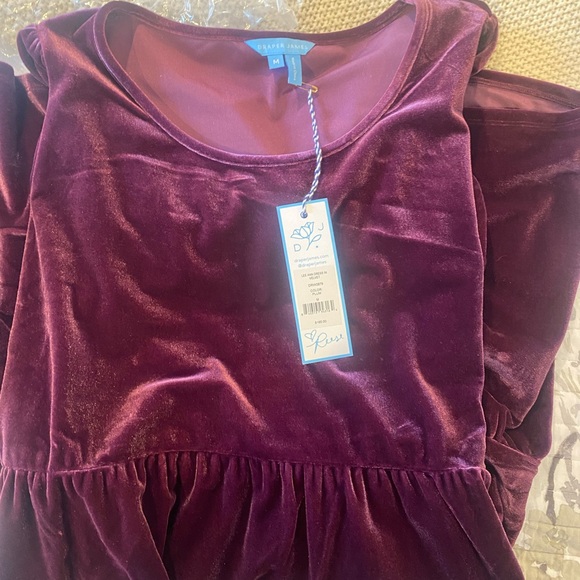 Draper James Lee Ann Dress in Plum Velvet - Picture 5 of 5